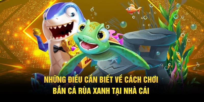 Cách chơi bắn cá rùa xanh cần nắm cho anh em