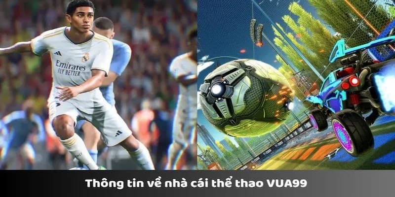 Vài nét về sân chơi sống động thể thao Vua99